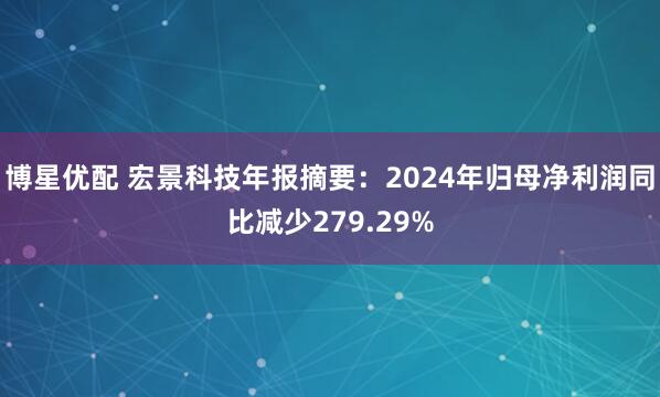 博星优配 宏景科技年报摘要：2024年归母净利润同比减少279.29%