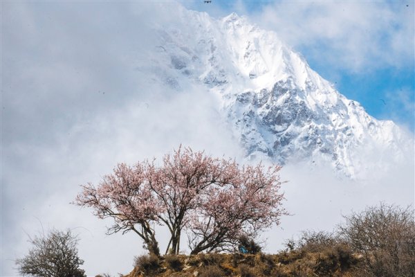 5策略 “赏花经济”激发文旅新活力 各地群众吃上“旅游饭”