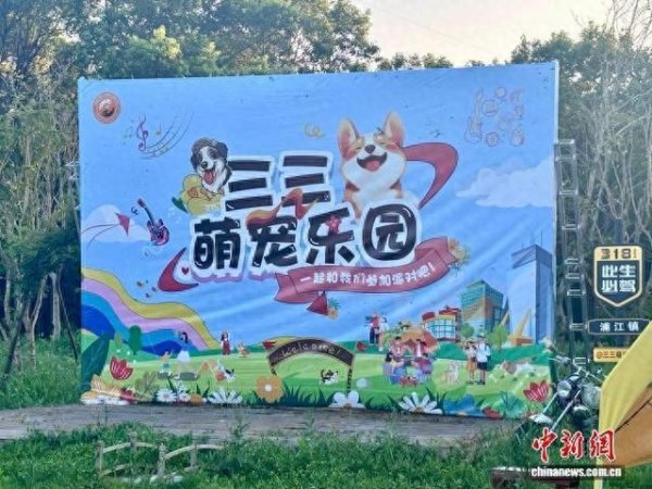 瑞和网  为什么宠物正在成为当代人的“生活搭子”？