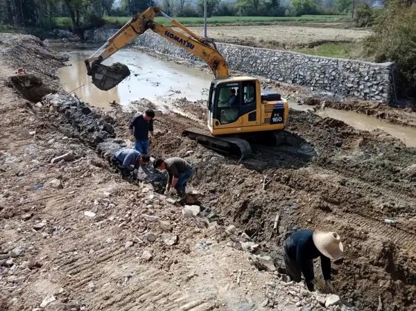 忠泰策略 一度濒临灭绝 \＂大宝贝\＂, 杭州村民修堤坝挖出, 80岁多老人:没见过