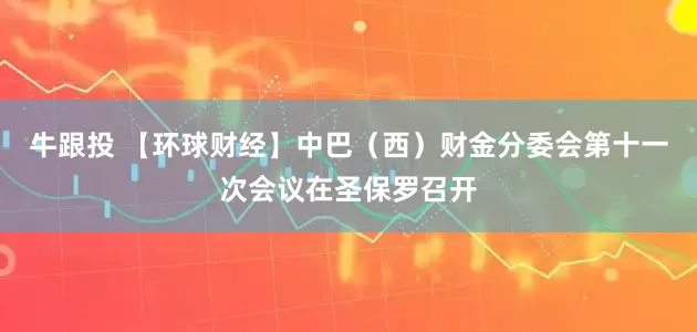 牛跟投 【环球财经】中巴（西）财金分委会第十一次会议在圣保罗召开