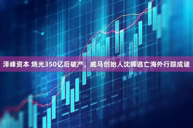 泽峰资本 烧光350亿后破产，威马创始人沈晖逃亡海外行踪成谜